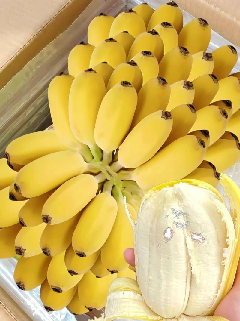 广西连存贸易：推动外贸发展的一抹亮色